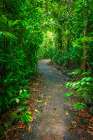 Rainforest trail, Carara National Park, Puntarenas Province, Costa Rica Art Print